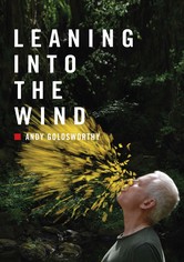 Leaning into the Wind - Andy Goldsworthy