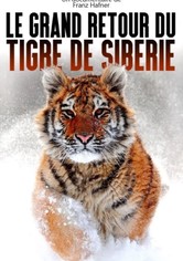 Der Sibirische Tiger - Seele der russischen Wildnis