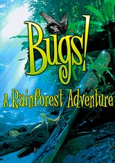 Bugs ! : A Rainforest Adventure