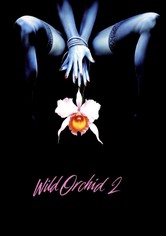 Wilde Orchidee 2