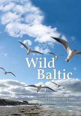 Wild Baltic