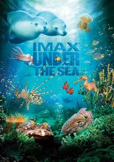 IMAX: Under The Sea 3D