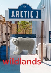 Wildlands: The Arctic One Experience