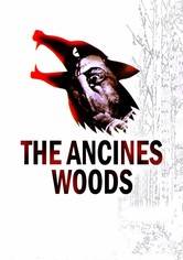 The Ancines Woods