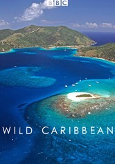 Wilde Karibik