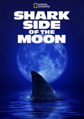 Shark Side of the Moon