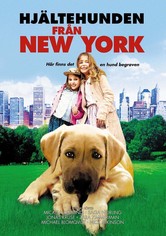 Hjältehunden från New York