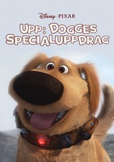 Dogges specialuppdrag