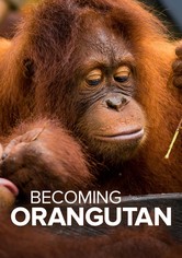 Becoming Orangutan
