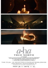 a-ha: True North