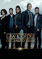Law & Order: criminalità organizzata