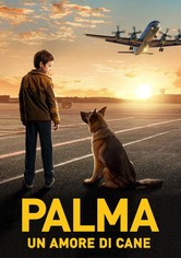 Palma – Un amore di cane