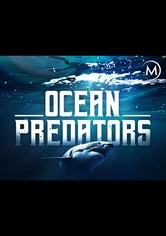 Depredadores del océano
