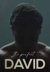 The Perfect David