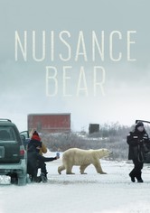 Nuisance Bear
