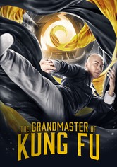 The Grandmaster of Kung Fu