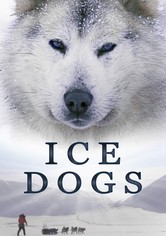 Ice Dogs: The Only Companions Worth Having