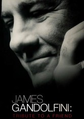 James Gandolfini: Tribute to a Friend