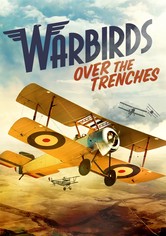 Warbirds Over the Trenches