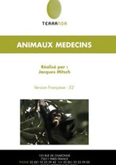Animal Doctors