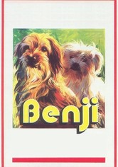 Benji - Auf heißer Fährte