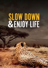 Slow Down and Enjoy Life