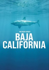 The Blue Quest Baja California