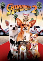 Le Chihuahua de Beverly Hills 2