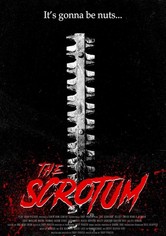 The Scrotum