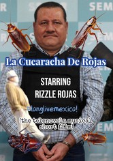 La Cucaracha De Rojas (the telenovela musical short film)