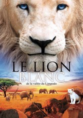 Le Lion blanc de la vallée de Limpopo
