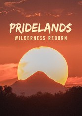 Pridelands: Wilderness Reborn