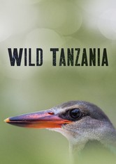 Wild Tanzania