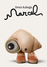 Ayakkabılı Deniz Kabuğu Marcel
