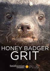 Honey Badger: Grit