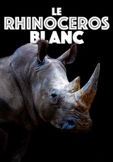 Le rhinocéros blanc - Une aventure familiale au cœur de l’Afrique
