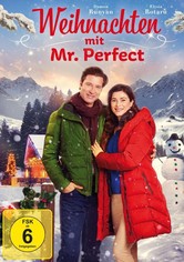 Weihnachten mit Mr. Perfect