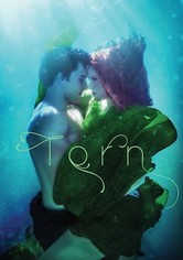 Torn: A Wicked Trilogy
