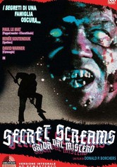 Secret Screams - Grida dal mistero