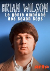 Die Beach Boys - Genie und Wahnsinn
