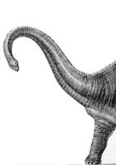 Diplodocus at Large