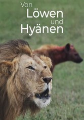 Von Löwen und Hyänen