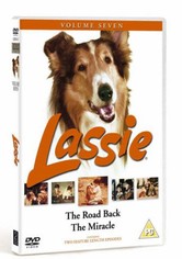 Lassie – Allein in der großen Stadt