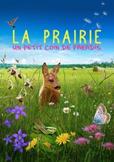 La Prairie : Un petit coin de paradis