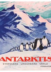 Antarktis - Sydpolens underbara värld
