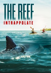 The Reef - Intrappolate