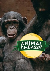 Animal Embassy