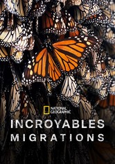 Incroyables migrations