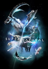 Super/Natural