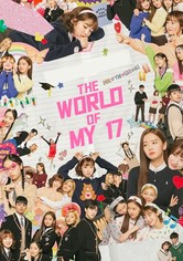 The World of My 17
